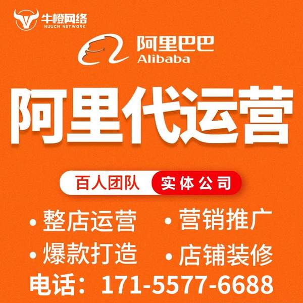 甘南电商代运营