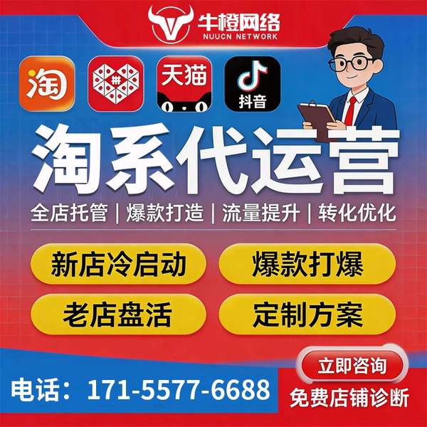 甘南电商代运营