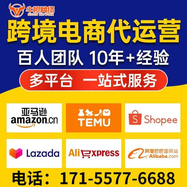甘南电商代运营