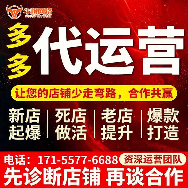 甘南电商代运营