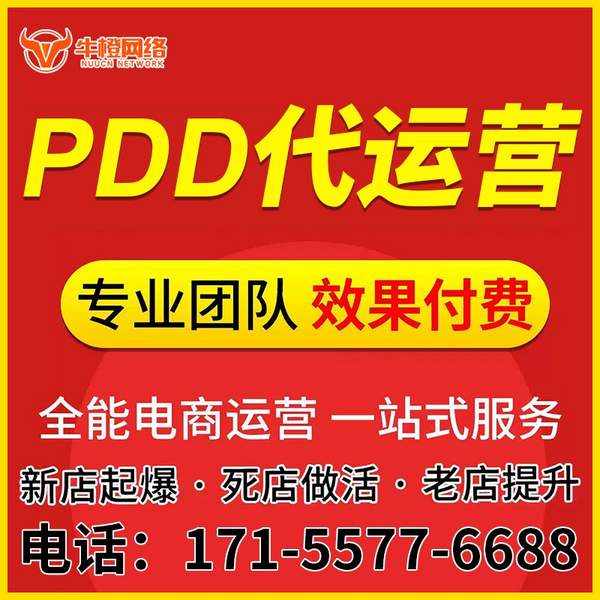 甘南电商代运营