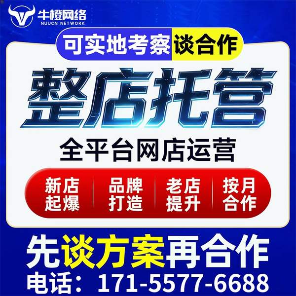 甘南电商代运营