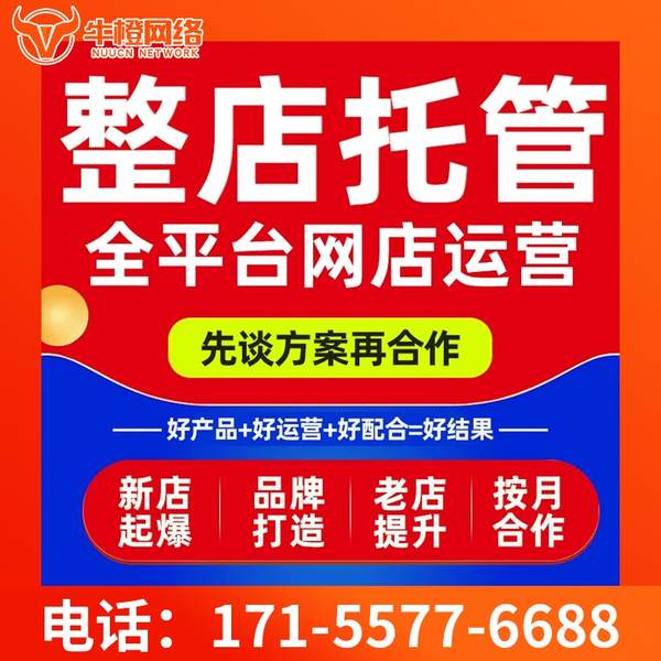 甘南电商代运营
