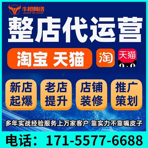 甘南电商代运营