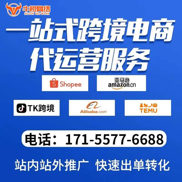 甘南电商代运营
