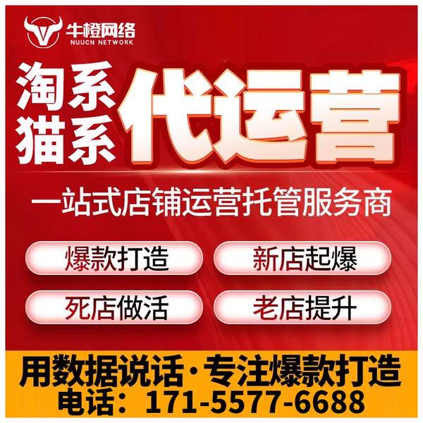 甘南电商代运营